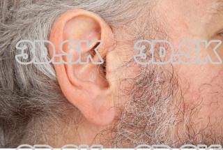 Ear texture of Roger 0001